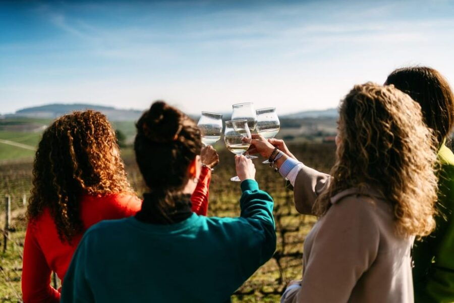 Porto: Douro Valley Tour with 2 Wineries, Lunch and Cruise - An In-Depth Look at the Tour Itinerary