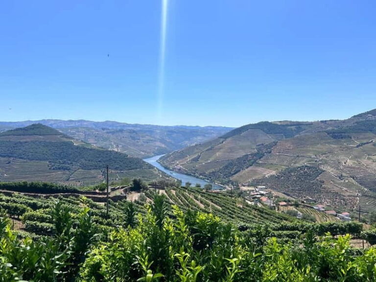 Porto: Douro Valley Tour with 3 Wineries and Lunch