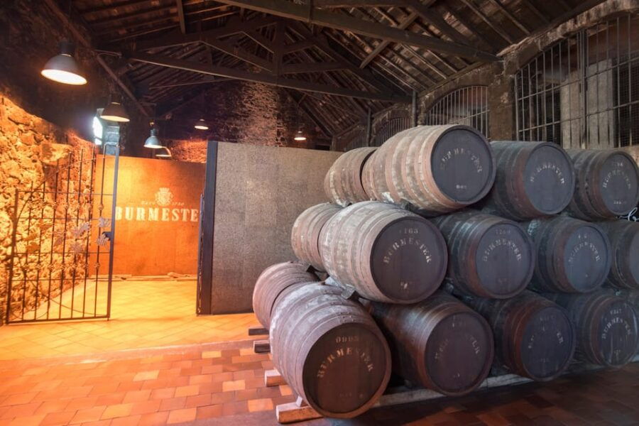 Porto: Half-Day Tour with Port Wine Cellar Visit and Tasting - Clérigos Tower and Iconic Architecture  