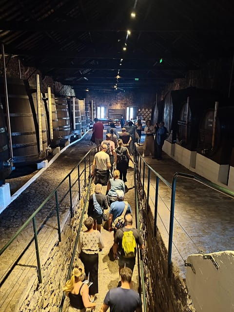 Porto: Port and Douro Wine Walking Tour with Tastings
