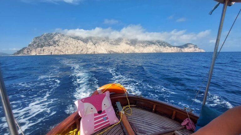 Porto San Paolo: Day Tour to Tavolara and Molara fish-Lunch