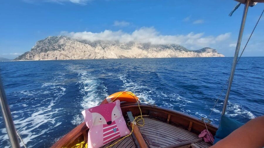 Porto San Paolo: Day Tour to Tavolara and Molara fish-Lunch - What Makes This Tour Stand Out?
