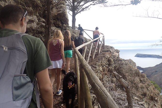 Porto Santo - Terra Chã Hiking Tour - An Overview of the Experience