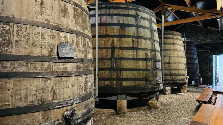 Porto to Gaia Experience: City Walk and Wine Cellars
