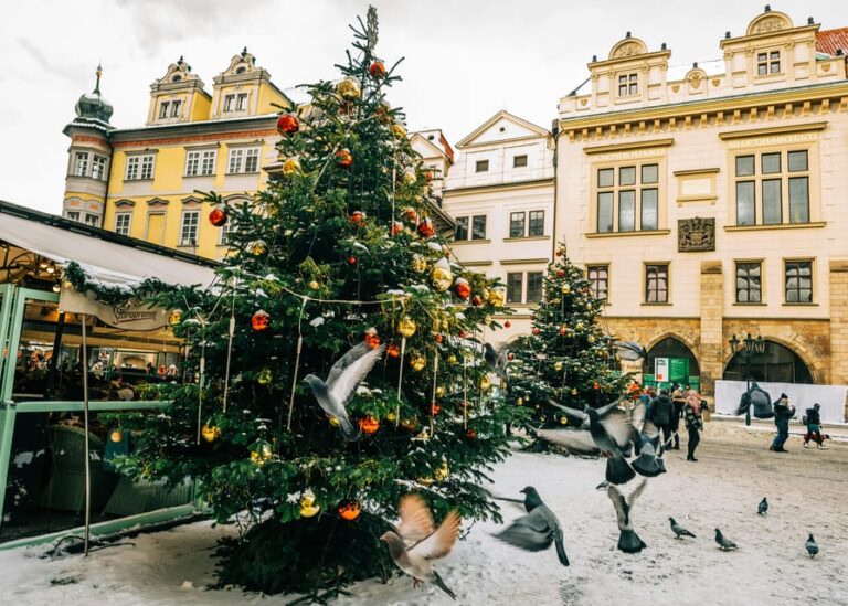 Prague: Christmas Markets Tour with Local Guide