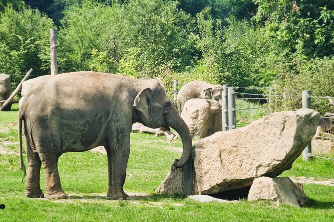 Prague Zoo Admission Ticket with Transfer and Audio Guide