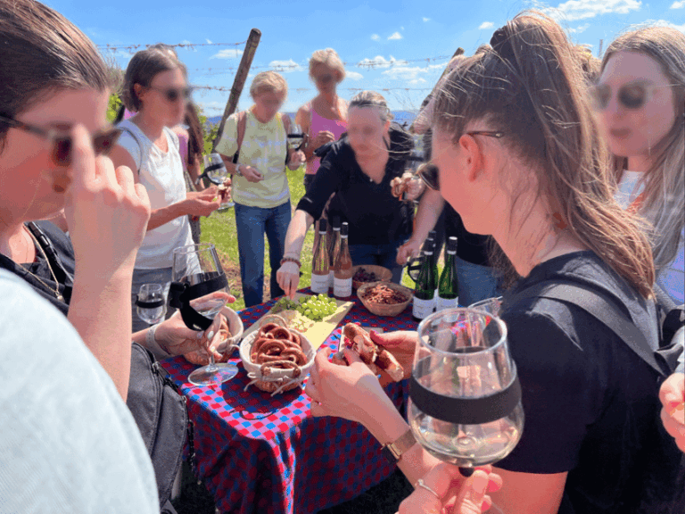 Premium wine hike Stuttgart with games and winemaker’s snack
