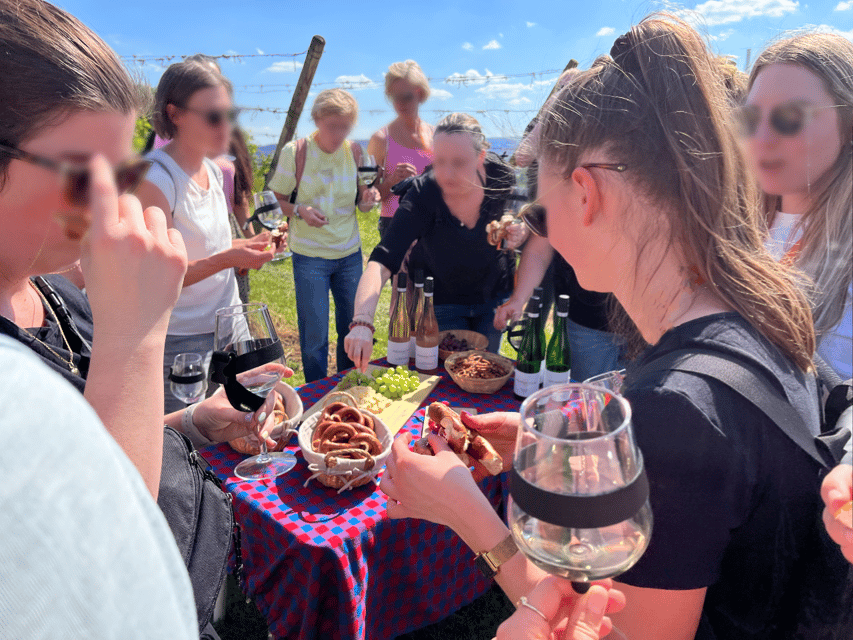 Premium wine hike Stuttgart with games and winemaker's snack - Exploring the Details: What to Expect on the Stuttgart Wine Hike