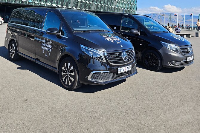 Private 6 Hour Airport or Cruise Tour with Transfer
