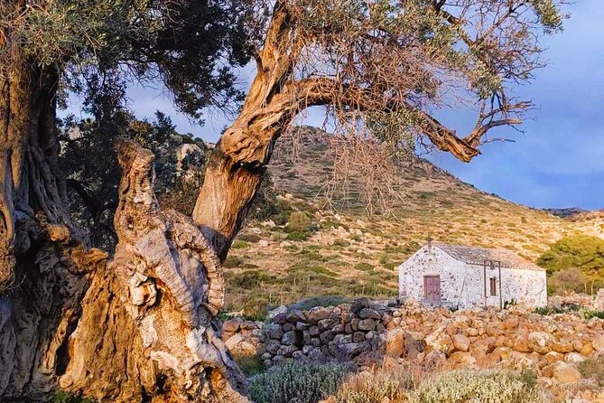 Private Aegina Island Tour with a Local Certified Guide