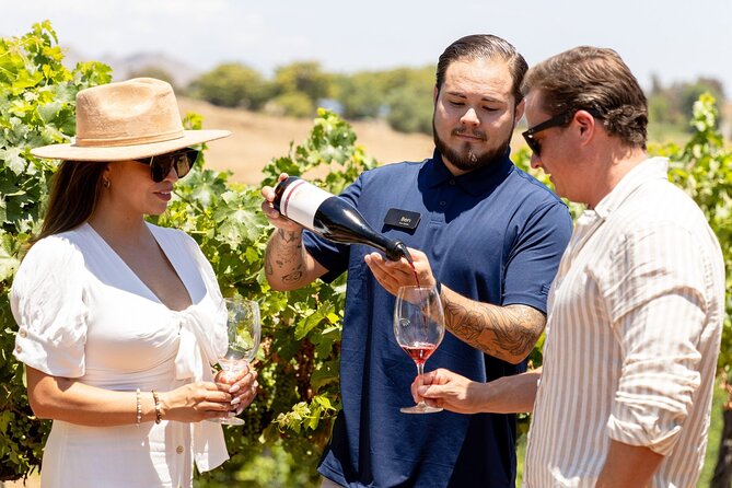 Private All-Inclusive 3-Winery Tour from Paso Robles/Atascadero