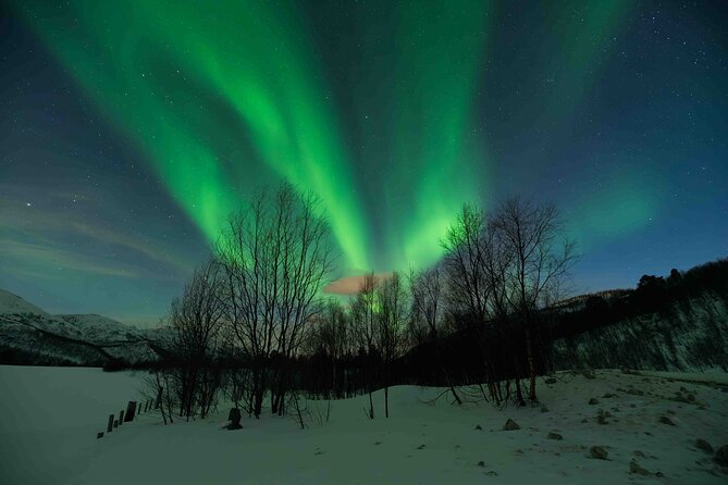 Private Aurora Hunting with Professional Photographer from Alta - The Experience: A Deep Dive into the Aurora Chase