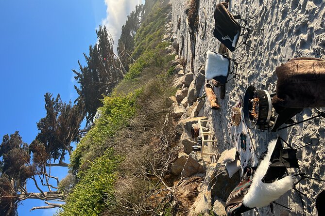 Private Beach Bonfire in Carmel-by-the-Sea