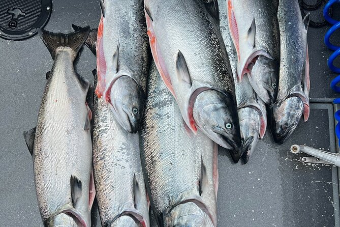Private Charter Fishing - Full Port Time for Cruise Ship Guests - An Overview of the Experience