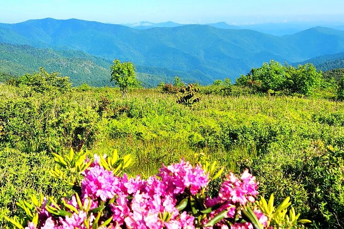 Private "Child-Focused" Blue Ridge Mountains Tour - What’s Included and What Should You Bring?