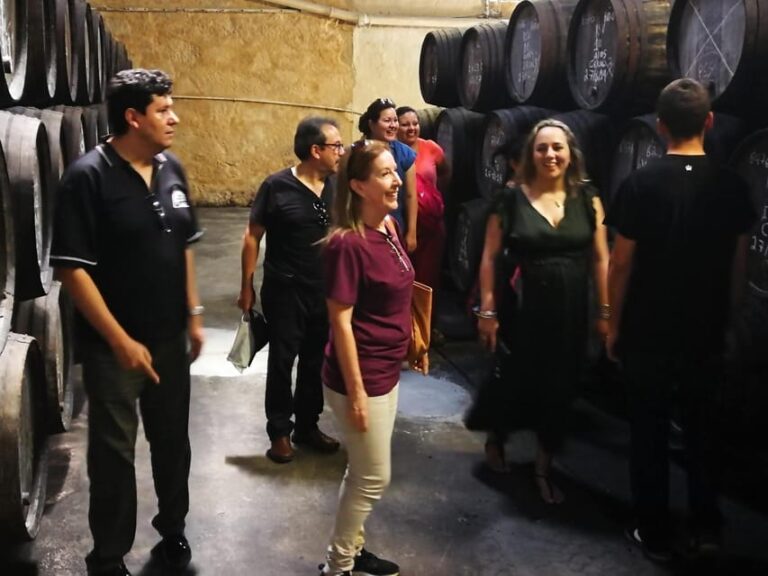 Private day tour of Olive Oil , Salt Flats and Winery