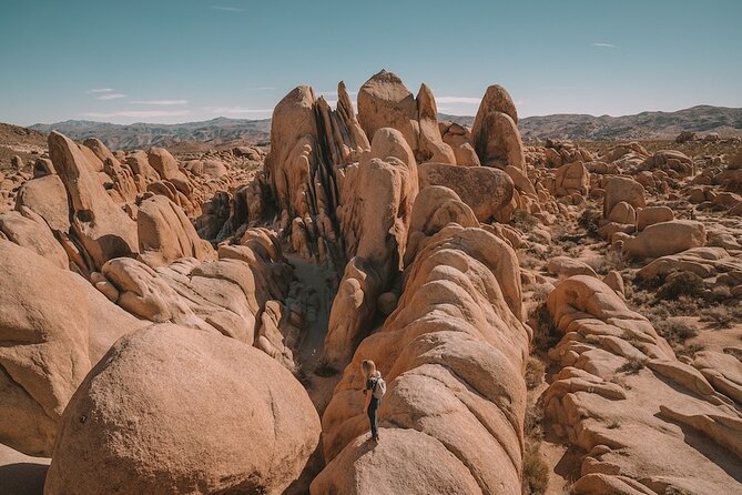 Private Day Tour to Joshua Tree National Park from San Diego