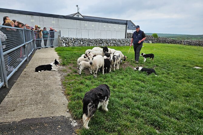 Private Day Trip to the Cliffs of Moher from Dublin