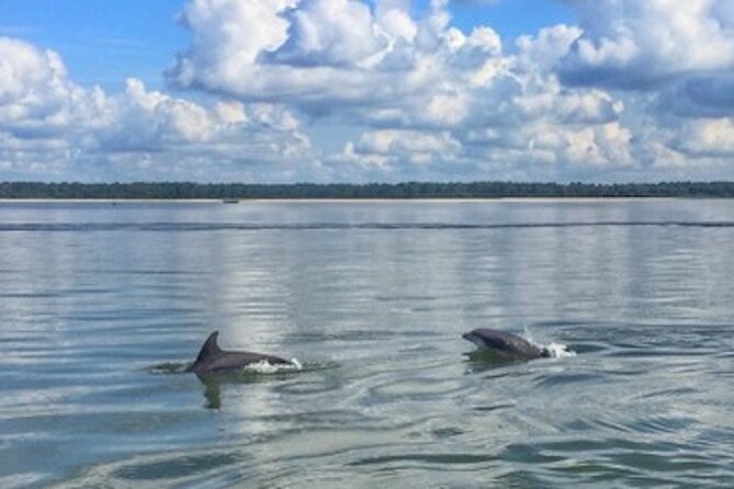 Private Disappearing Island Dolphin Tour - In-Depth Breakdown of the Itinerary