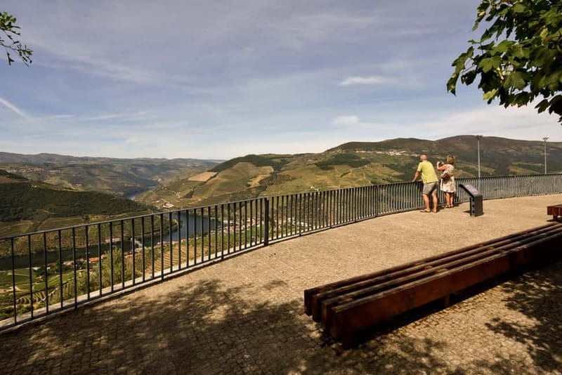 Private Douro Wine Experience - Full Day in the Douro Valley - An In-Depth Look at the Douro Wine Experience