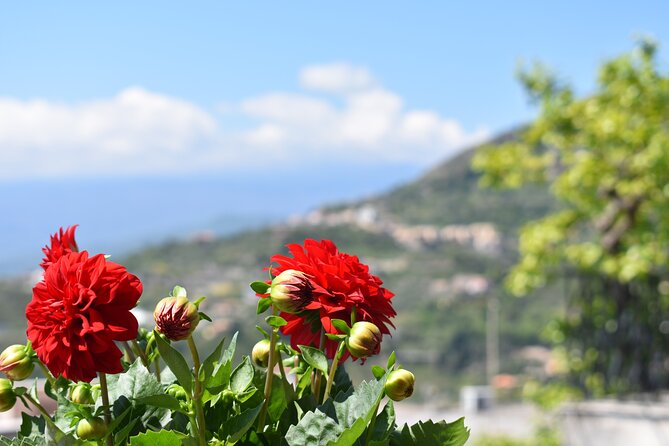Private Etna tour with lunch in traditional “Trattoria” with organic food