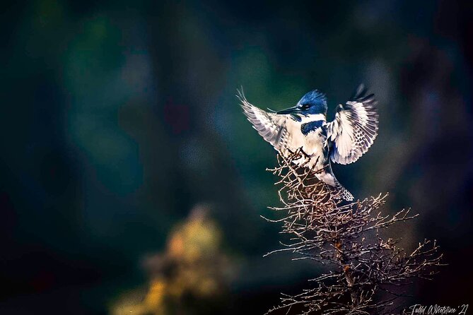 Private Full Day Photography Workshop of Fairbanks - What to Expect from the Fairbanks Photography Workshop
