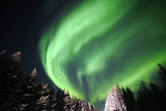 Private Group: Northern Lights Hunt 4×4 SUV with Aurora guarantee