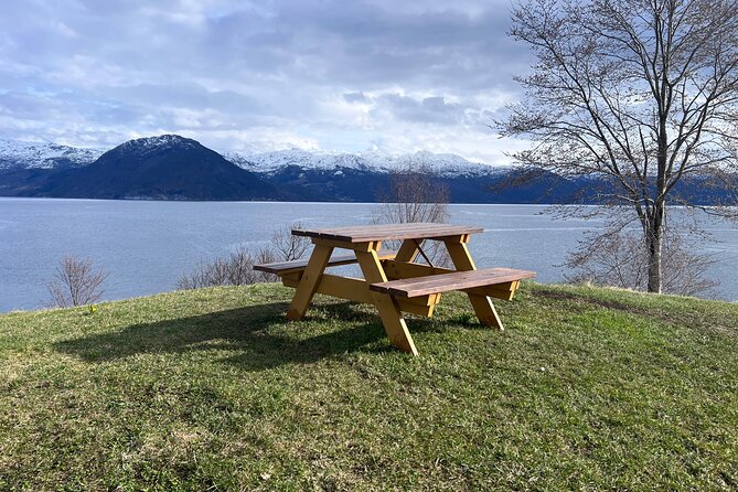 Private Guided Tour of Bergen and the Best of Norwegian Fjords