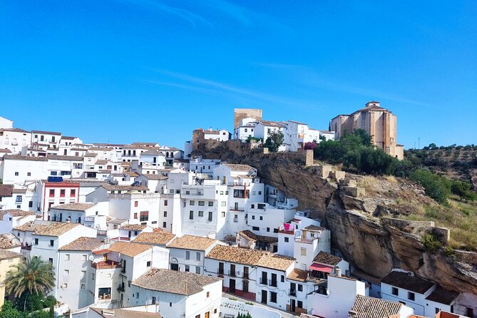 Private half-day tour of Ronda and the White Villages with native