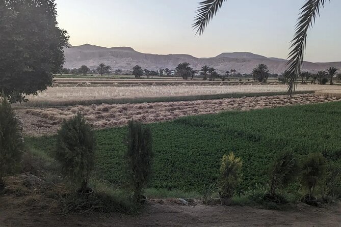 Private Half Day Tour West Bank of the Nile Luxor Egypt - The Itinerary: A Closer Look at What You’ll See