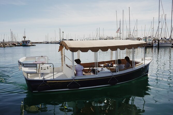 Private Harbor Cruise on Electric Boat in Santa Barbara - What to Expect from the Itinerary