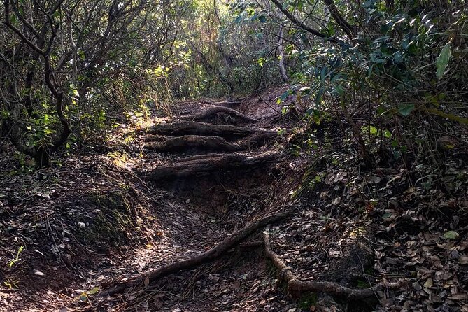 Private Hiking Adventure at Arrábida Mountain - A Closer Look at the Itinerary