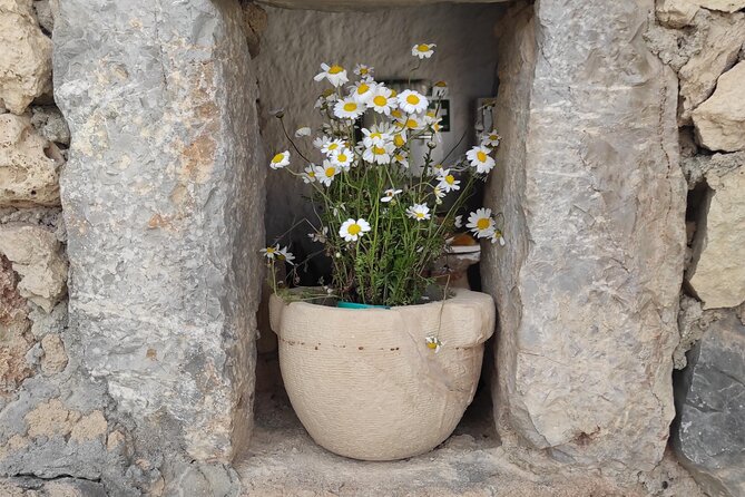 Private History, Sights, and Food Walking Tour of Chania City - Exploring the Old Venetian Harbor