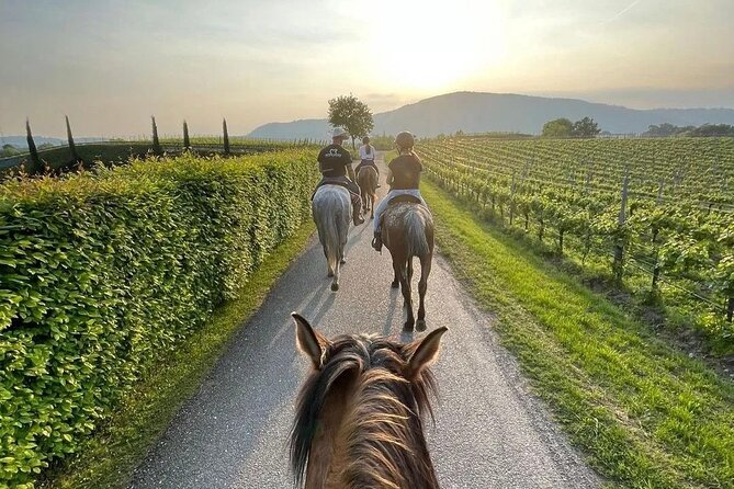 Private Horseback Riding Tour of the Vineyards in Verona with Wine Tasting - An In-Depth Look at the Tour