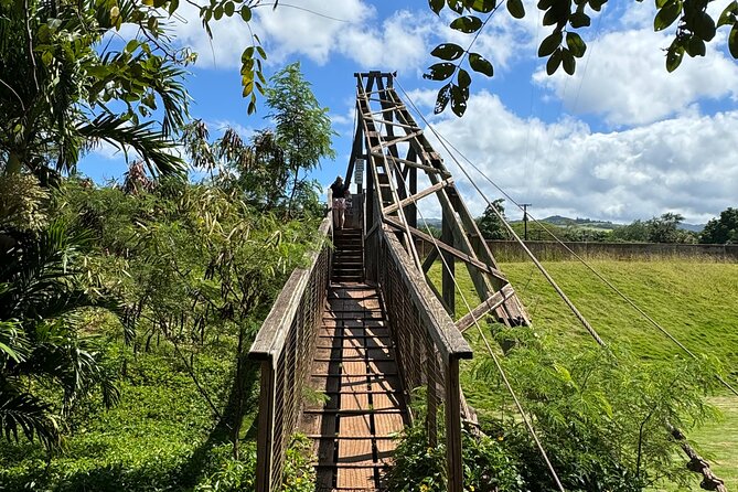 Private Kauai Island Tour : Waimea Canyon, Kalalau Lookout + More