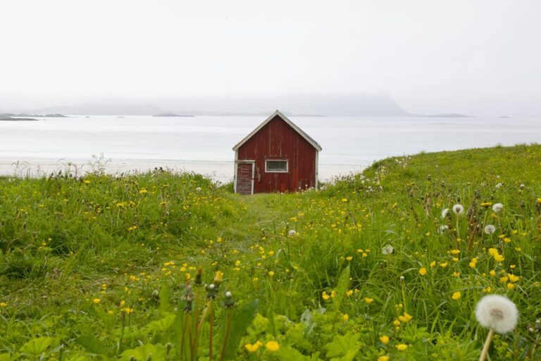 Private Lofoten Islands Tour (from Leknes)