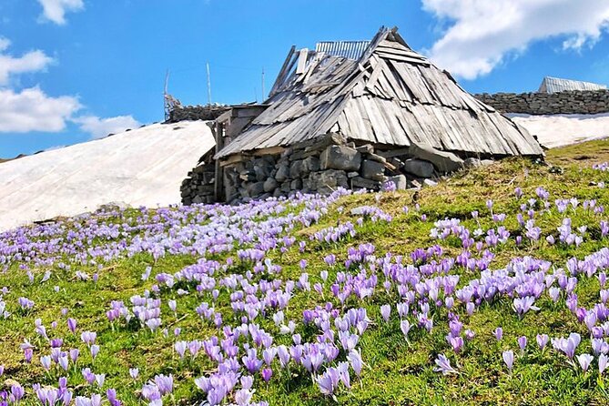 Private North Montenegro, Durmitor, Tara and Ostrog Tour