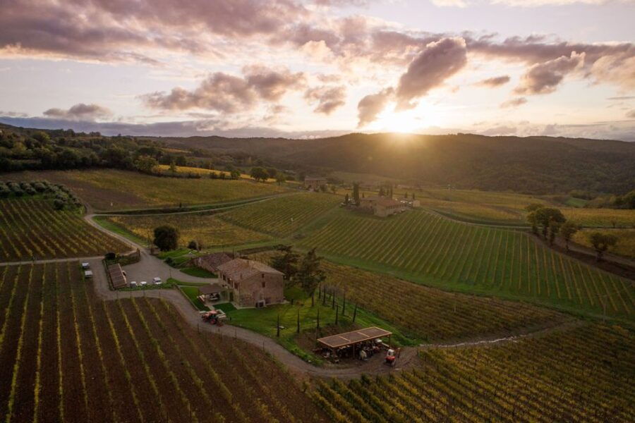 Private Plus Wine Tasting Tour - Exploring the Tuscan Charm: What to Expect from the Private Plus Wine Tasting Tour  