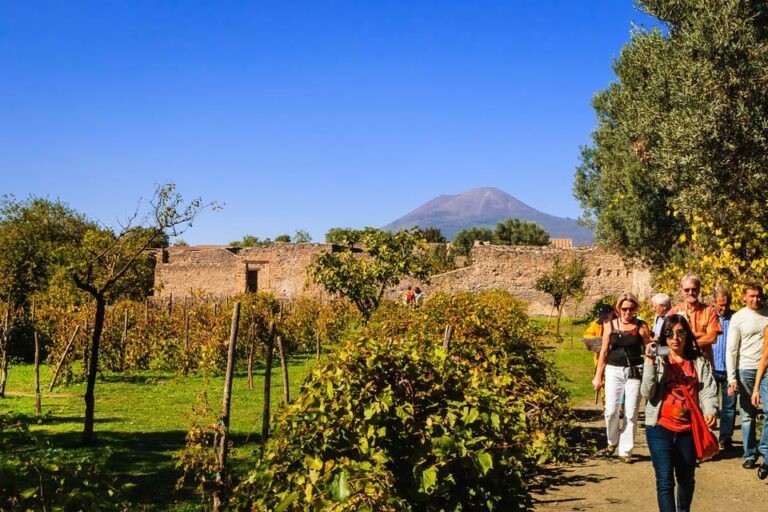 Private Pompeii & Vesuvius Wine Tasting Tour