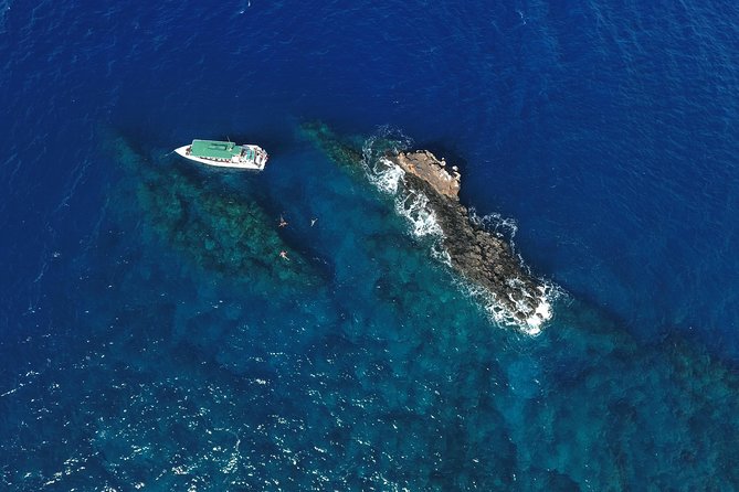 Private Snorkel Tour 3 Hrs 1 stop from Kaanapali Beach