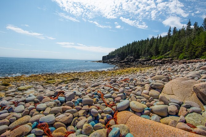 Private Tour Acadia National Park, Fjord - The Practicalities & Value