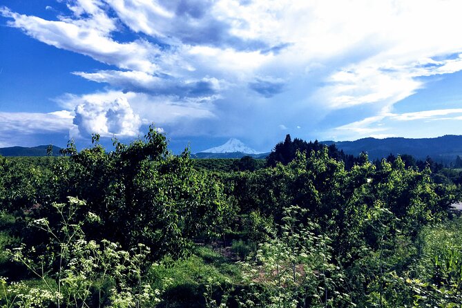Private Tour at The Hood-Columbia Loop: Timberline, Orchards, and Waterfalls - Exploring the Itinerary in Detail