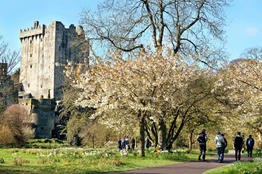 Private Tour from Dublin to Blarney Castle & Rock of Cashel - An In-Depth Look at the Tour