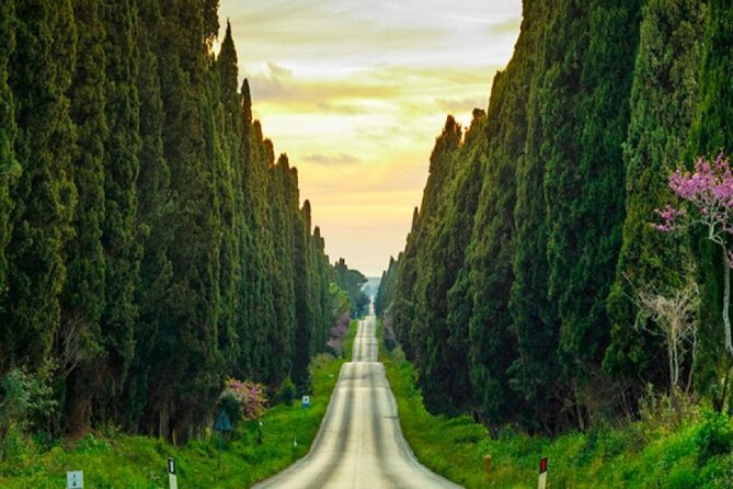 Private Tour from the Port of Livorno to Bolgheri - An Authentic Taste of Tuscany: The Tour Overview