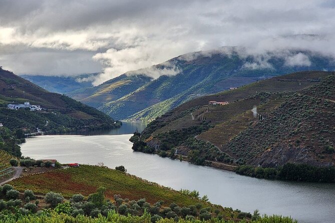 Private Tour in the Douro with Family Vineyards and Miradouro - An In-Depth Look at the Tour Experience
