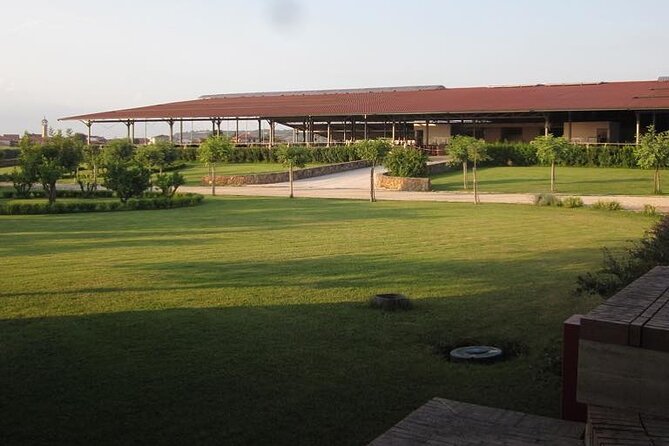 Private Tour: Paestum, Mozzarella Bufala guided tour and lunch - A Closer Look at the Tour Experience