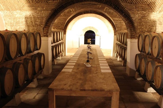 Private Tour Wine (region Évora) Wine Tasting - Authenticity and Value