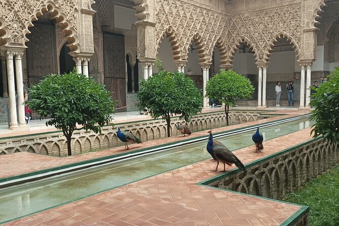 Private Tour with Local Guide to know the Seville Essential - Good To Know