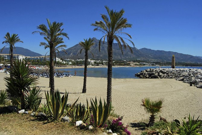 Private Transfer from Malaga airport (AGP) to Fuengirola