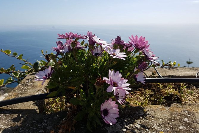 Private Transfer from Naples to Positano - Why Choose a Private Transfer from Naples to Positano?